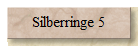 Silberringe 5